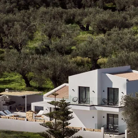 Estelle Villa, A Flamboyant Escape With Pool, By Thinkvilla Romíri